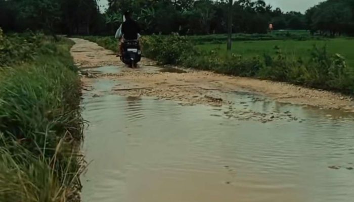 Protes Kreatif! Pemuda Desa Gadding Gaungkan "Festival Jalan Rusak", Ini Jawaban Dinas PUTR