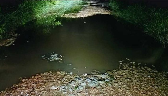 Protes Kreatif! Pemuda Desa Gadding Gaungkan "Festival Jalan Rusak", Ini Jawaban Dinas PUTR