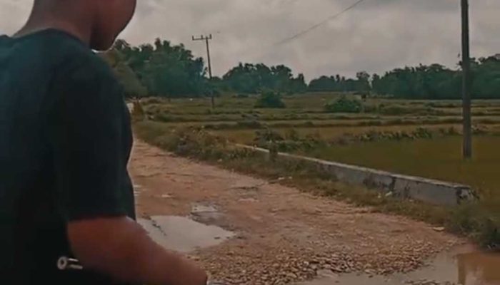 Protes Kreatif! Pemuda di Kecamatan Manding Gaungkan “Festival Jalan Rusak”, Ini Jawaban Dinas PUTR