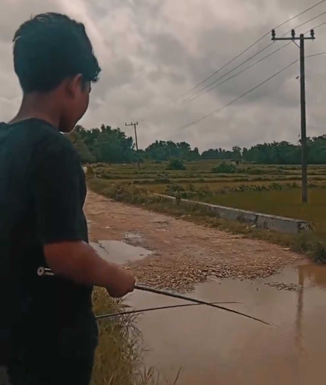 Protes Kreatif! Pemuda Desa Gadding Gaungkan "Festival Jalan Rusak", Ini Jawaban Dinas PUTR
