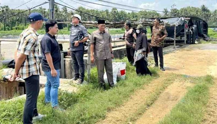 Sidak Pansus DPRD Sumenep di Dasuk, IPAL Tambak Udang Diduga Tak Berfungsi Optimal