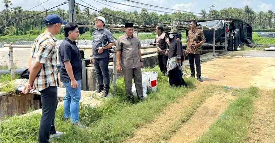 Sidak Pansus DPRD Sumenep di Dasuk, IPAL Tambak Udang Diduga Tak Berfungsi Optimal