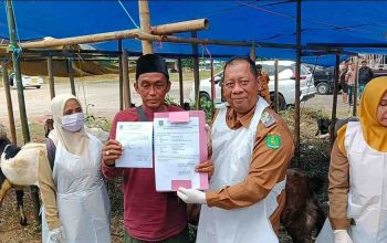 DKPP Sumenep Pastikan Hewan Kurban Layak Jual dan Sesuai Syariat
