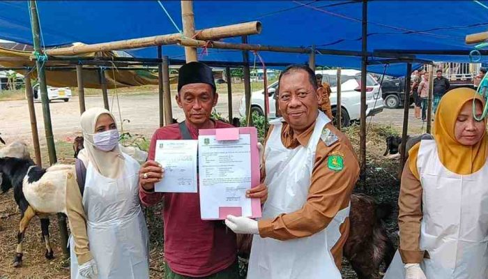DKPP Sumenep Pastikan Hewan Kurban Layak Jual dan Sesuai Syariat