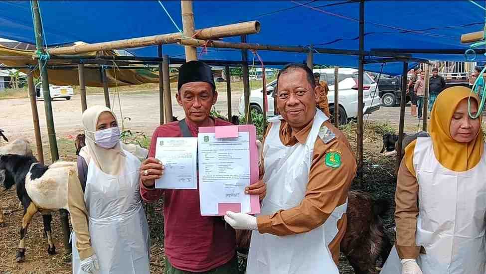 DKPP Sumenep Pastikan Hewan Kurban Layak Jual dan Sesuai Syariat