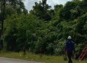 Warga Desa Muangan Keluhkan Pemadaman Listrik Berulang, PLN Sebut Penguatan Jaringan