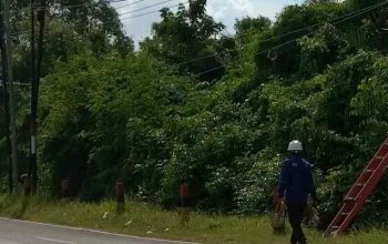Warga Desa Muangan Keluhkan Pemadaman Listrik Berulang, PLN Sebut Penguatan Jaringan