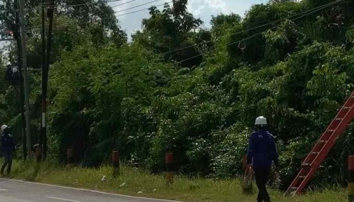 Warga Desa Muangan Keluhkan Pemadaman Listrik Berulang, PLN Sebut Penguatan Jaringan