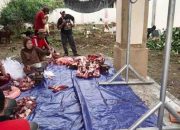 Pemkab Sumenep Salurkan Hewan Kurban Kepada Masyarakat