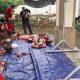Pemkab Sumenep Salurkan Hewan Kurban Kepada Masyarakat