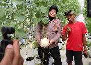 Polres Sumenep Dukung “Smart Farming”, Panen Melon Metode Machida Jadi Bukti Inovasi Petani Milenial