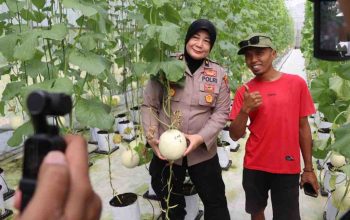 Polres Sumenep Dukung “Smart Farming”, Panen Melon Metode Machida Jadi Bukti Inovasi Petani Milenial