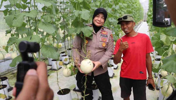 Polres Sumenep Dukung “Smart Farming”, Panen Melon Metode Machida Jadi Bukti Inovasi Petani Milenial