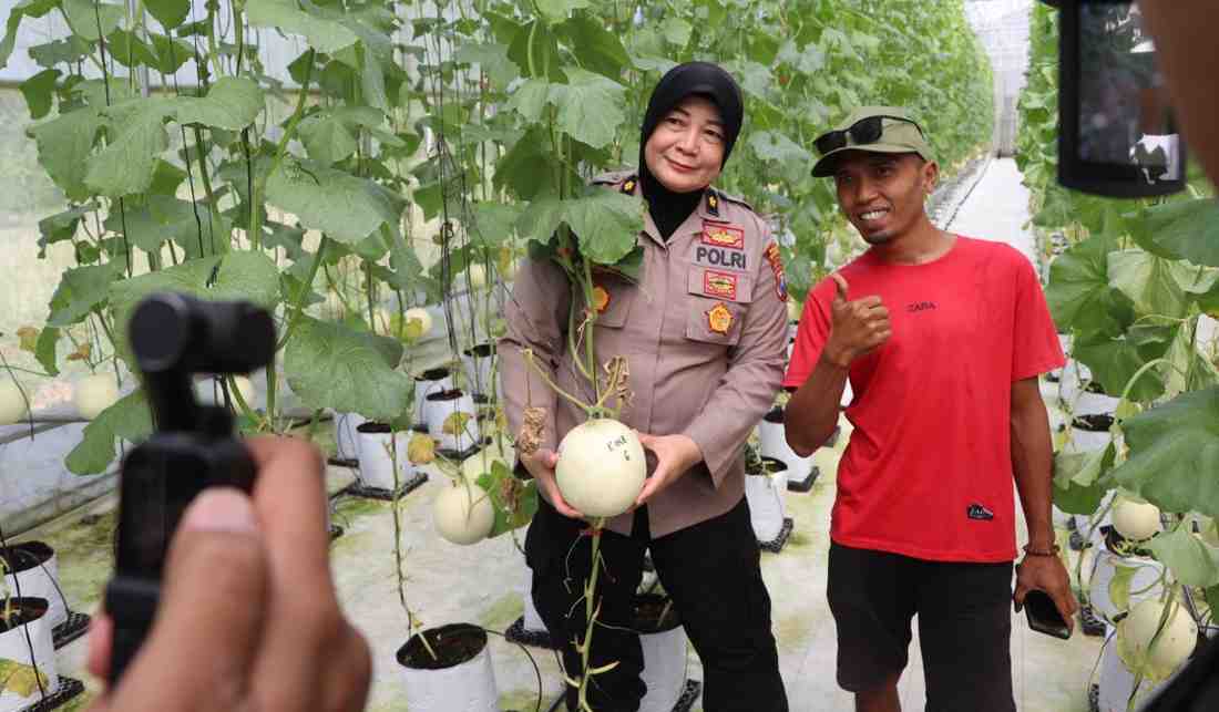Polres Sumenep Dukung Smart Farming, Panen Melon Metode Machida Jadi Bukti Inovasi Petani Milenial