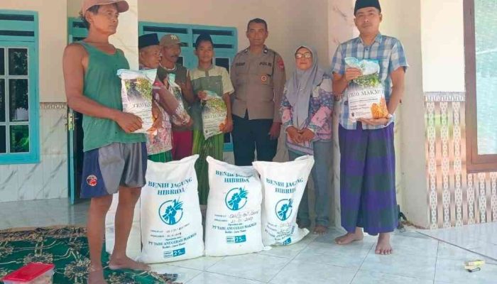 Polsek Gapura Dukung Ketahanan Pangan, Salurkan Bibit Jagung Hibrida kepada Kelompok Tani di Grujugan
