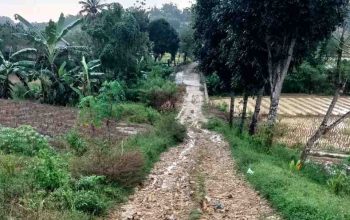 Jalan Berlumpur dan Berlubang, Keluhan Menahun Masyarakat Desa Montorna
