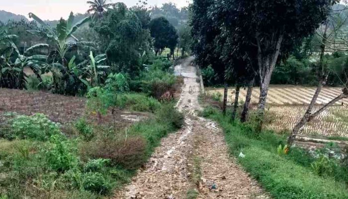 Jalan Berlumpur dan Berlubang Jadi Keluhan Tahunan Masyarakat Desa Montorna Sumenep