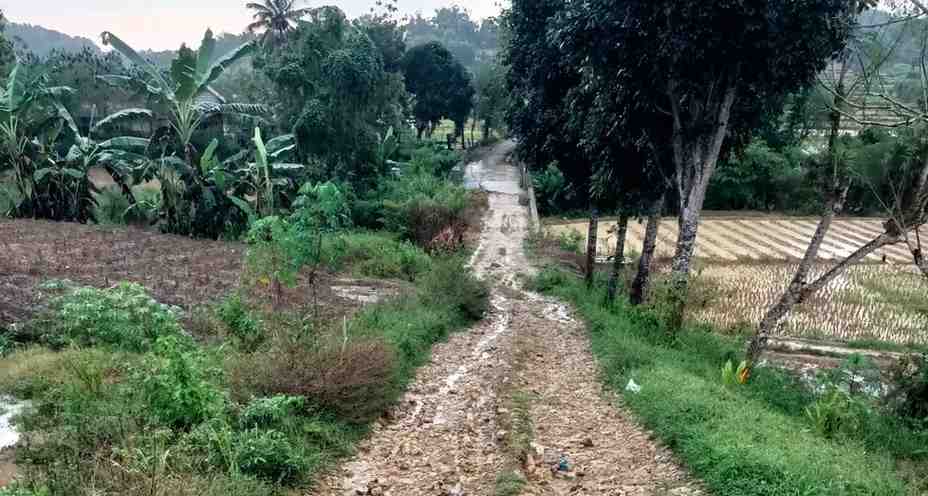 Jalan Berlumpur dan Berlubang, Keluhan Menahun Masyarakat Desa Montorna