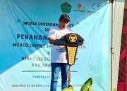 Medco Energi Sampang dan Pemkab Pamekasan Tanam 375 Pohon di Stadion Gelora Madura Ratu Pamelingan