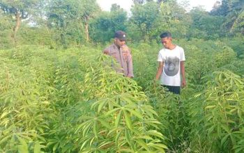Bhabinkamtibmas Kangayan Sosialisasikan Program Pekarangan Pangan Bergizi di Desa Torjek