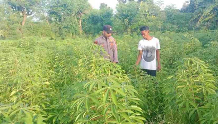 Bhabinkamtibmas Kangayan Sosialisasikan Program Pekarangan Pangan Bergizi di Desa Torjek