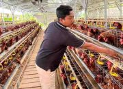 Peternak Sumenep Nilai Mentan Amran Gagal Stabilkan Harga Telur
