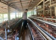 Bhabinkamtibmas Polres Sumenep Sambangi Peternak Ayam Petelur di Dasuk, Dukung Ketahanan Pangan Nasional