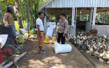Bhabinkamtibmas di Bluto Sambangi Peternak Bebek, Dorong Ketahanan Pangan di Aeng Dake