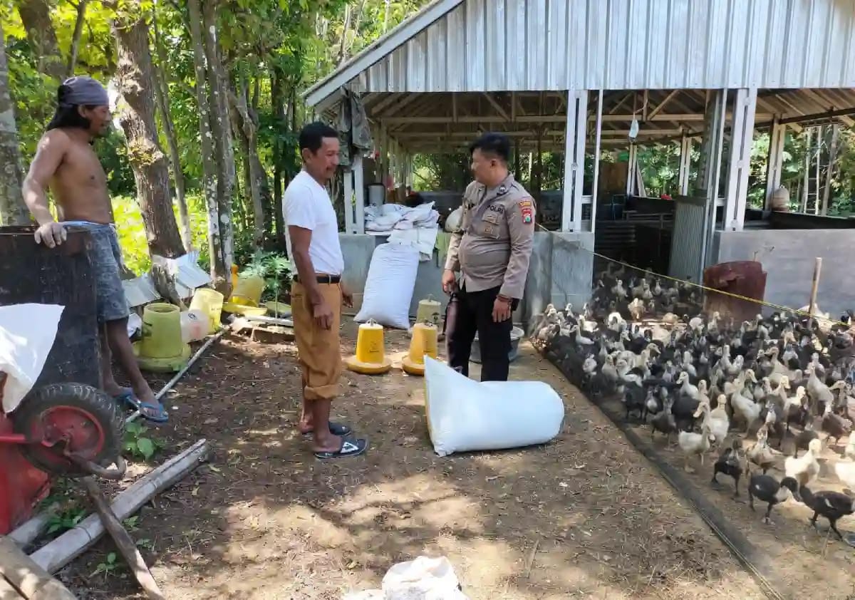 Bhabinkamtibmas di Bluto Sambangi Peternak Bebek, Dorong Ketahanan Pangan di Aeng Dake