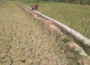El Nino Berpotensi Melanda, BMKG Minta Warga Sumenep Hemat Air dan Waspada Kebakaran