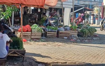Petani di Sumenep Keluhkan Anjloknya Harga Cabai Rawit