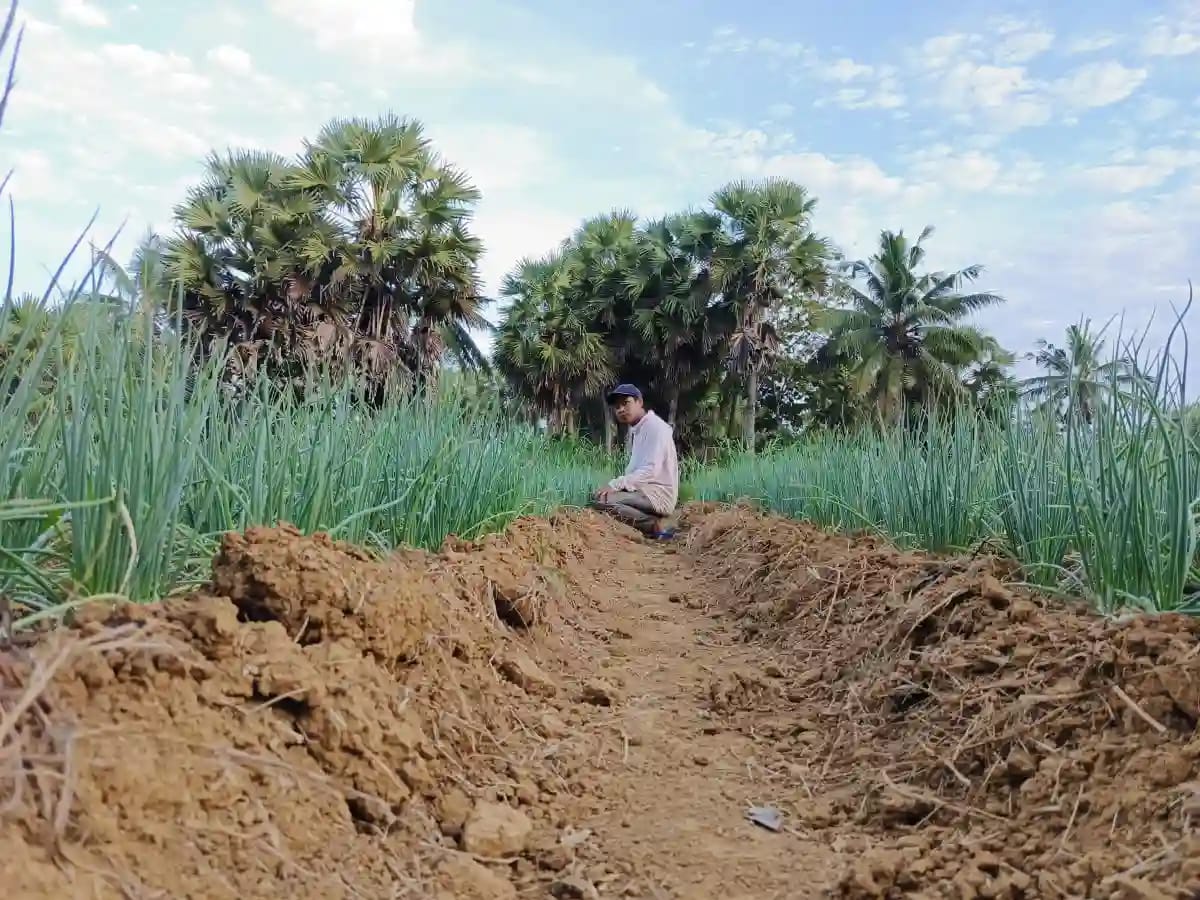 Eks Aktivis PMII Sumenep Ini Pilih Jadi Petani, Kini Raup Untung dari Cabai