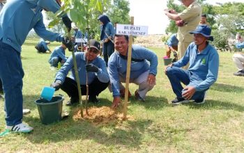 TPA Batuan Sumenep Disulap Jadi Tempat Tamasya, DLH Tanam Ribuan Pohon