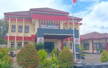 Hanya TK Muslimat Al-Ansari yang Memiliki Izin Operasional di Desa Juluk