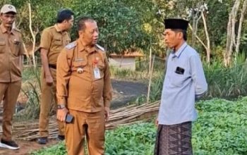Pemkab Sumenep Kawal Kualitas Tembakau Sejak Tahap Pembibitan