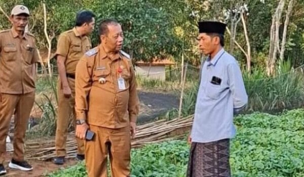Pemkab Sumenep Kawal Kualitas Tembakau Sejak Tahap Pembibitan