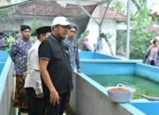 Bupati Sumenep Tinjau Budidaya Lele dan Ayam Petelur, Dorong Jadi Pemasok Program MBG