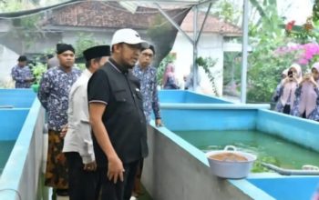 Bupati Sumenep Tinjau Budidaya Lele dan Ayam Petelur, Dorong Jadi Pemasok Program MBG