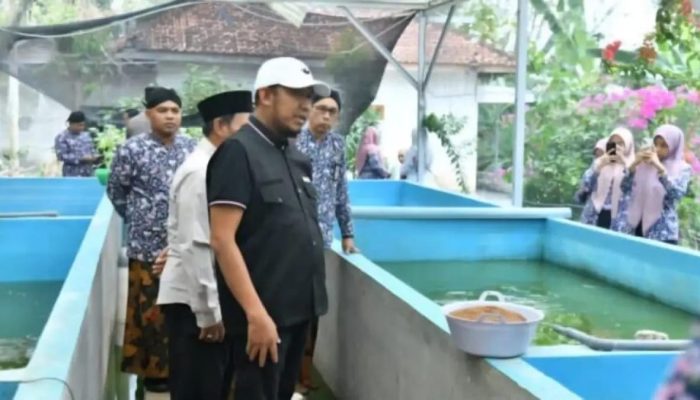 Bupati Sumenep Tinjau Budidaya Lele dan Ayam Petelur, Dorong Jadi Pemasok Program MBG