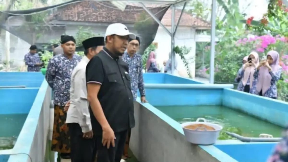 Bupati Sumenep Tinjau Budidaya Lele dan Ayam Petelur, Dorong Jadi Pemasok Program MBG
