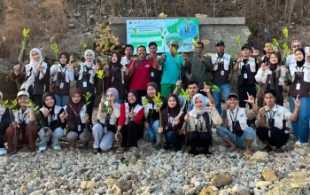KKN Unija Tanam Mangrove di Aeng Dake Bluto, Atasi Abrasi Pesisir Sumenep