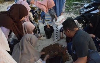 Kades Alas Malang Pelopori Pertanian Modern Bersama Mahasiswa KKN UNIB di Pulau Raas Sumenep