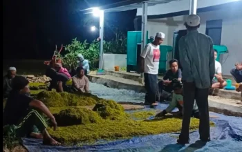 Meskipun TIHT Sudah Ditetapkan, Belum Ada Pabrikan Tembakau di Sumenep yang Mengajukan Izin Pembelian
