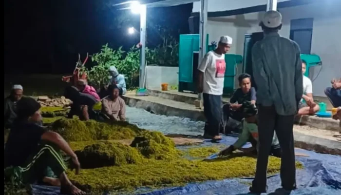 Meskipun TIHT Sudah Ditetapkan, Belum Ada Pabrikan Tembakau di Sumenep yang Mengajukan Izin Pembelian