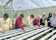 SMKN 1 Sumenep Perluas Program SIKAP, Siswa Belajar Ketahanan Pangan Secara Mandiri