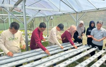 SMKN 1 Sumenep Perluas Program SIKAP, Siswa Belajar Ketahanan Pangan Secara Mandiri