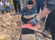 Sulap Sampah Jadi Paving Block, KKN Posko 52 UA Beri Solusi Lingkungan di Talango