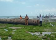 Sepekan Kayu Gelondongan Terdampar, Nelayan Dungkek Masih Menanggung Rugi