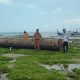 Sepekan Kayu Gelondongan Terdampar, Nelayan Dungkek Masih Menanggung Rugi