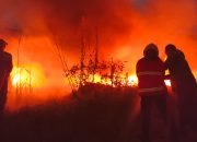 Kebakaran Lahan di Jalan Lingkar Timur Sumenep, Penyebabnya Belum Diketahui